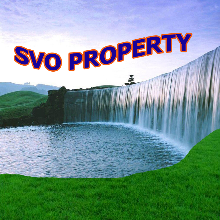 SVO Property
