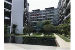RE/MAX Top Properties Agency's PHUKET,NEAR AIRPORT,CONDO 1 BEDROOM,FOR SALE 16
