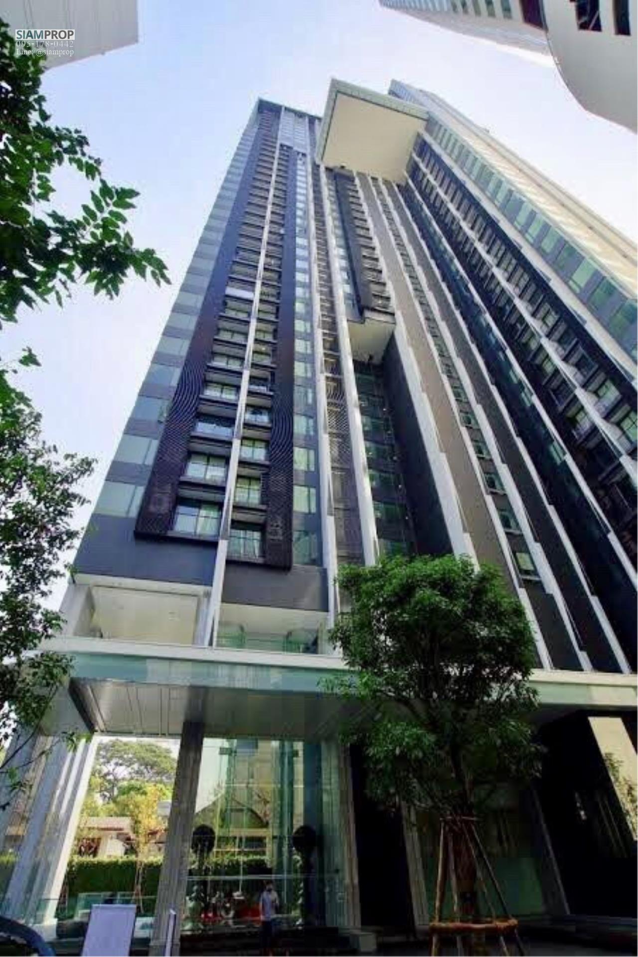 Siam Prop Agency's Edge Sukhumvit 23 , 1 bed for rent  for Rent (Close to BTS / MRT) 9