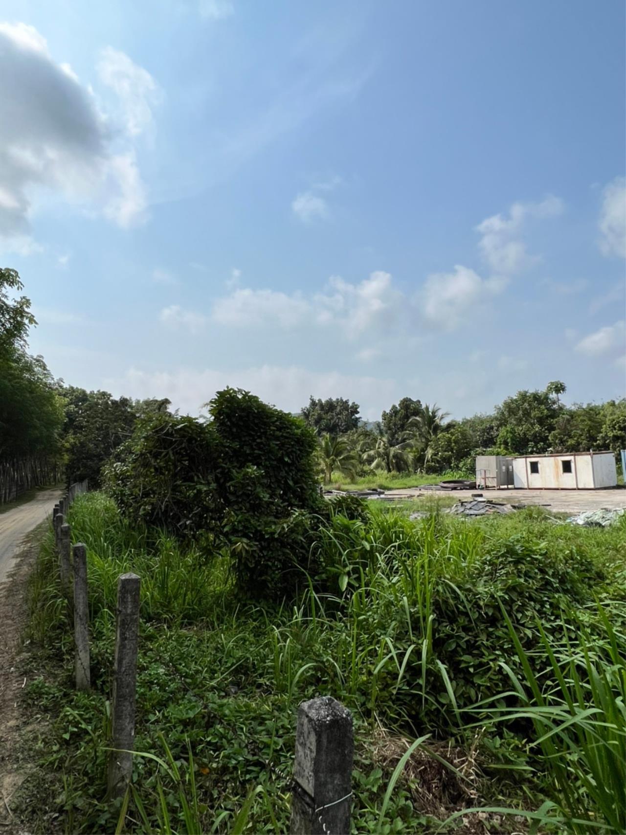 Phoenix Real Estate Phuket Agency's Phuket’s Land for Sale / Suitable for Villas Project 2