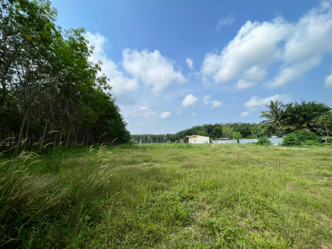 Phoenix Real Estate Phuket Agency's Phuket’s Land for Sale / Suitable for Villas Project 11