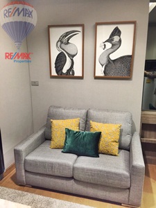 RE/MAX Properties Agency's RENT 1 Bedroom 26 Sq.m at Lumpini 24 12
