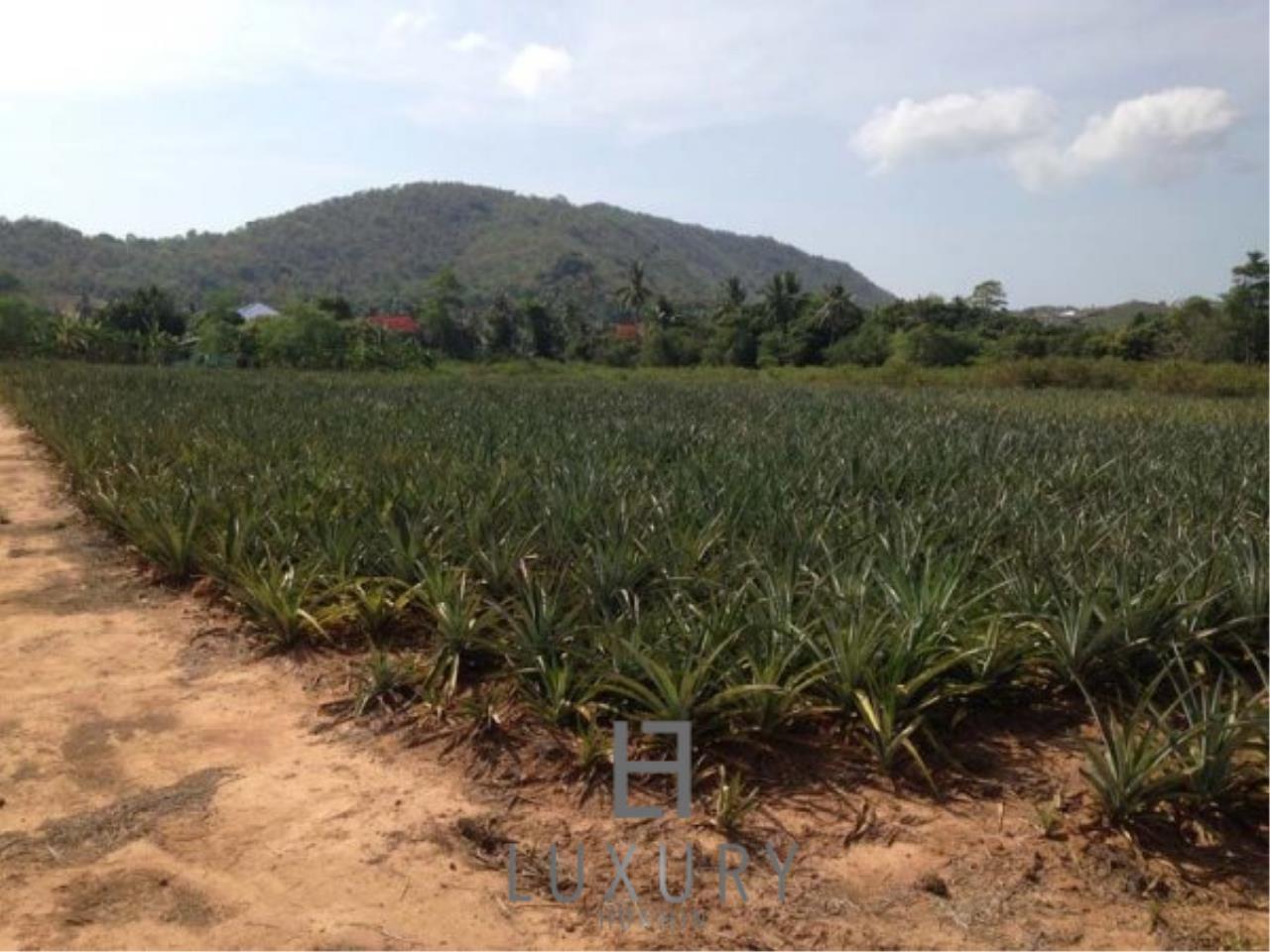Luxury Hua Hin Property Agency's Land With Great Views  1