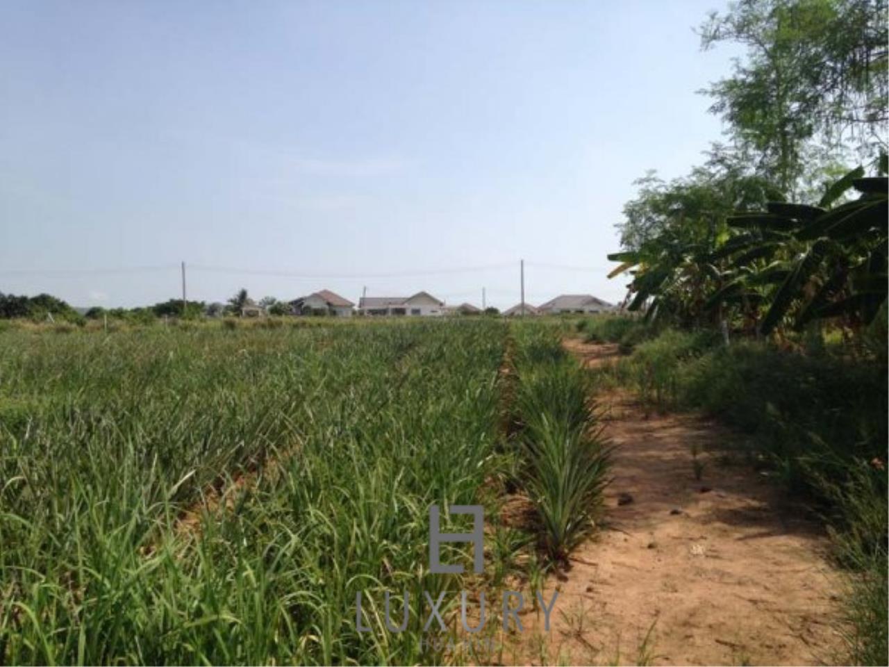 Luxury Hua Hin Property Agency's Land With Great Views  5