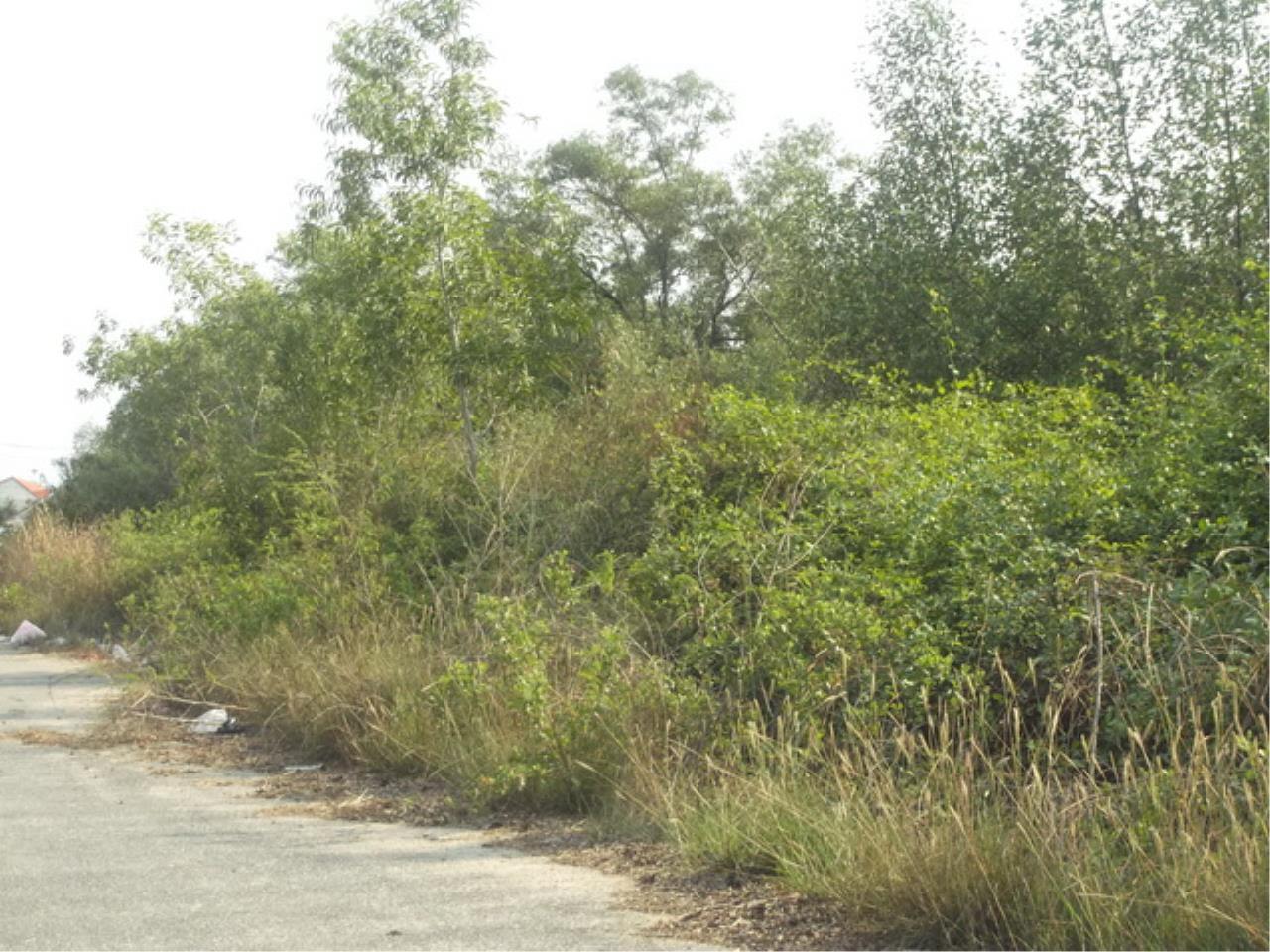 Forbest Properties Agency's 15768 - Bangna-Trad KM.53, Land for sale, area 240 acres 7