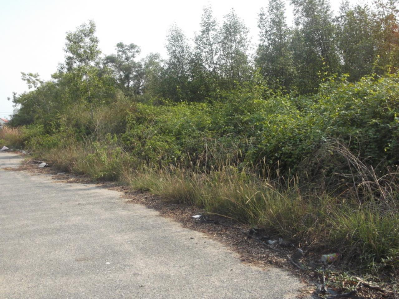 Forbest Properties Agency's 15768 - Bangna-Trad KM.53, Land for sale, area 240 acres 8