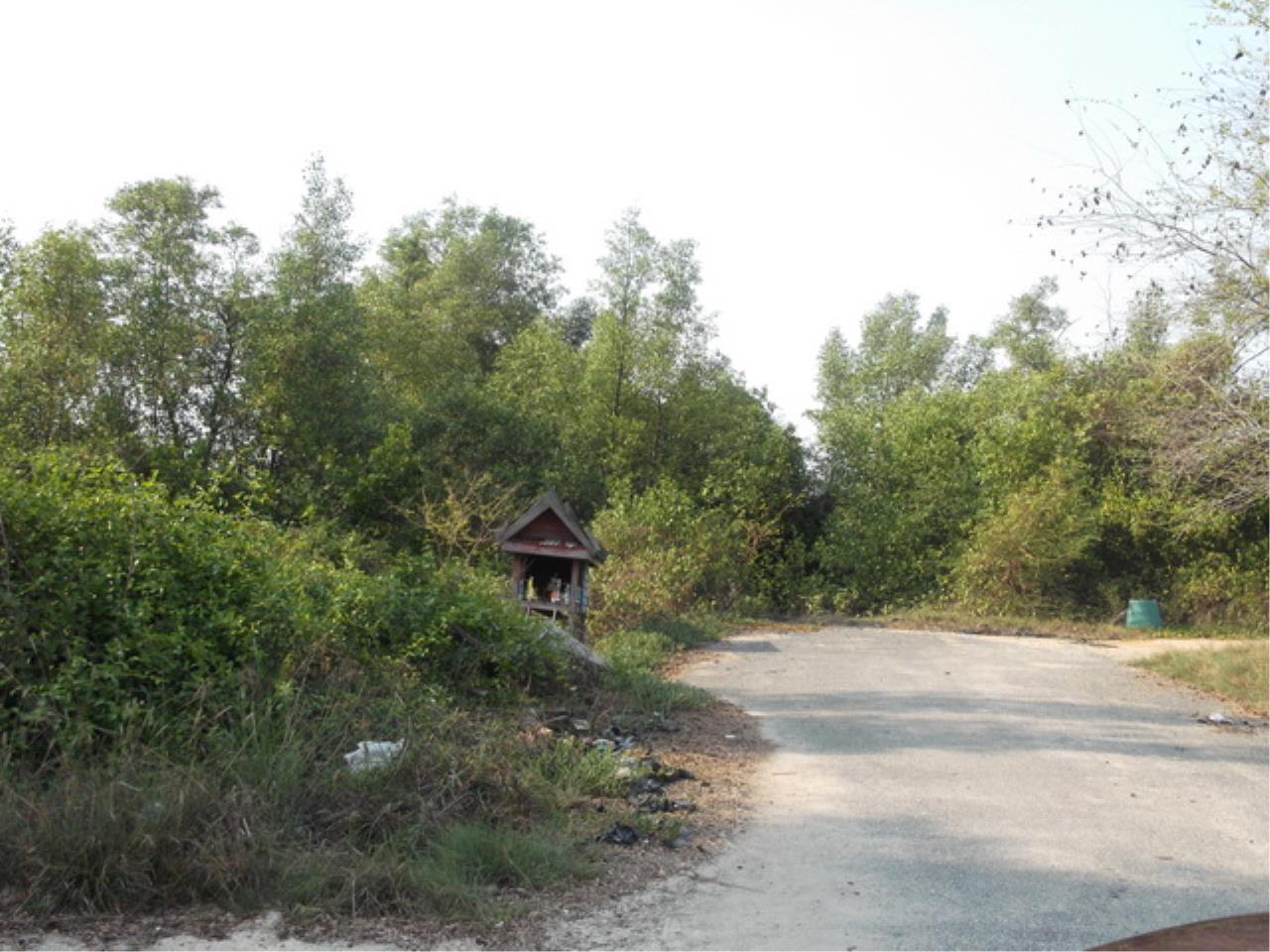 Forbest Properties Agency's 15768 - Bangna-Trad KM.53, Land for sale, area 240 acres 9