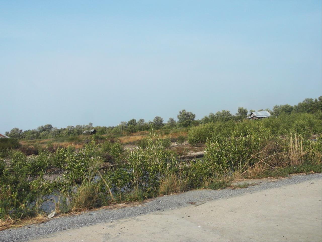 Forbest Properties Agency's 15768 - Bangna-Trad KM.53, Land for sale, area 240 acres 11