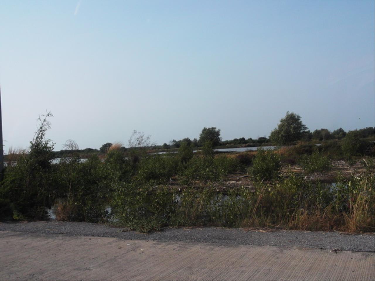 Forbest Properties Agency's 15768 - Bangna-Trad KM.53, Land for sale, area 240 acres 12