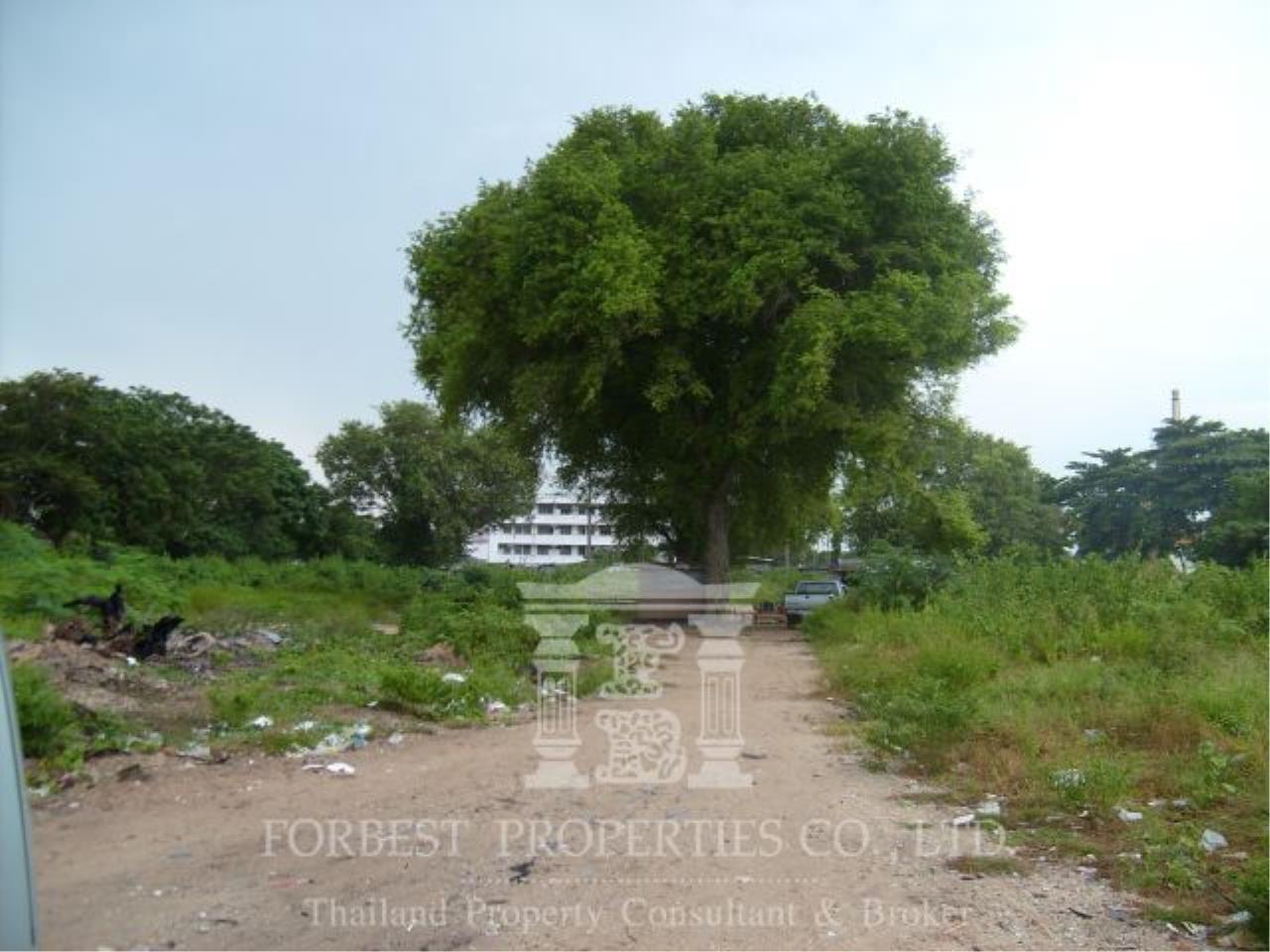 27935-Land for sale, in Banglamung, 7 rai 213 sq.wa.
