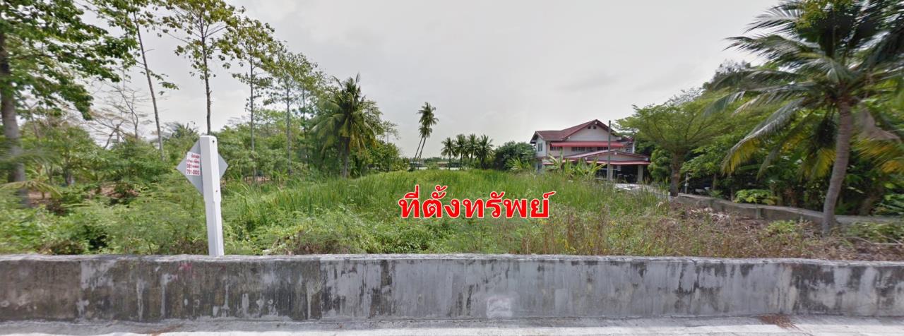 Forbest Properties Agency's 40288 - Koh Kret, Nonthaburi, Yothathikarn Rd., Land for sale, Plot size 2,208 Sq.m. 3