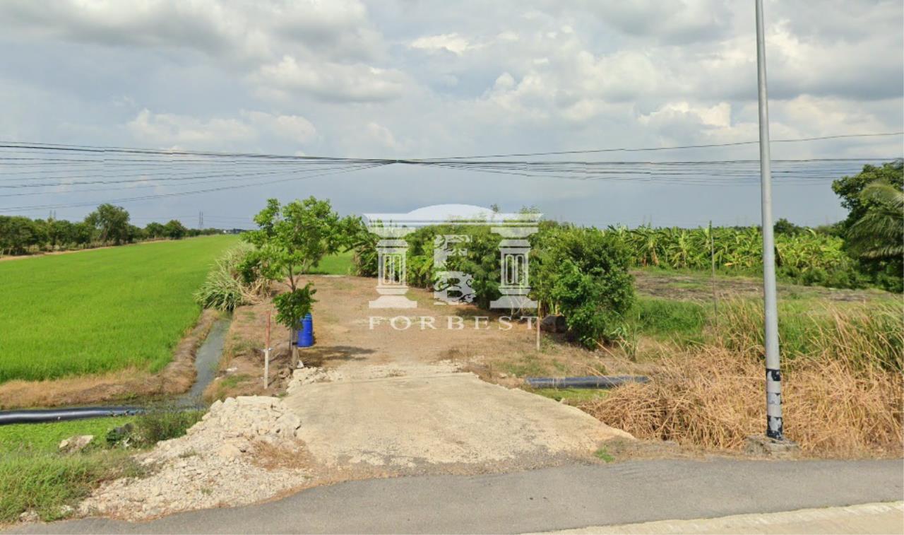 Forbest Properties Agency's 41601 - Khlong 7, Lam Luk Kok, Pathum Thani, Land for sale, Plot size 3 acres 3