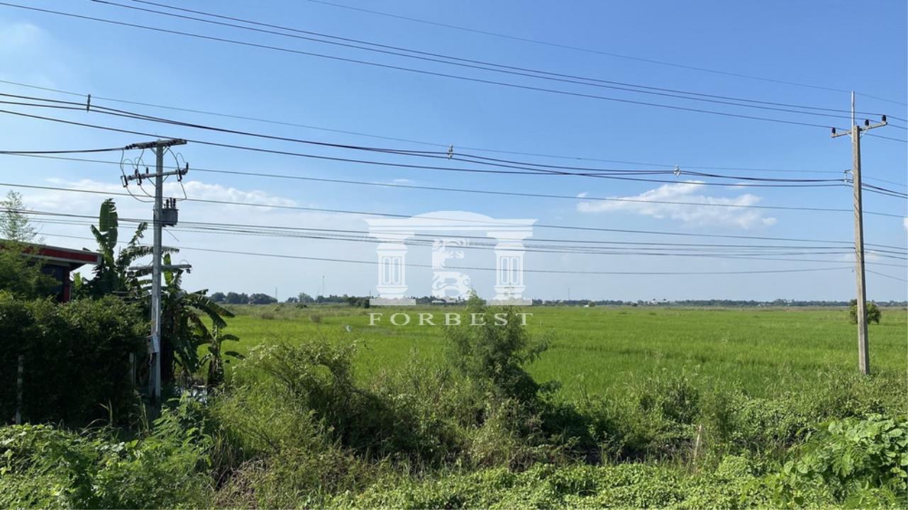 Forbest Properties Agency's 41605 - Bang Pahan, Ayutthaya, Land for sale, Plot size 4.9 acres 3