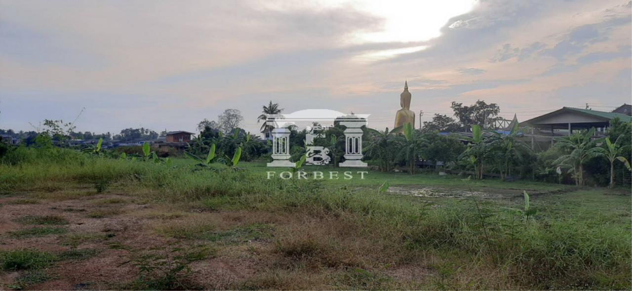 Forbest Properties Agency's 41607 - Pak Kret, Nonthaburi, Land for sale, Plot size 5,359 Sq.m. 6