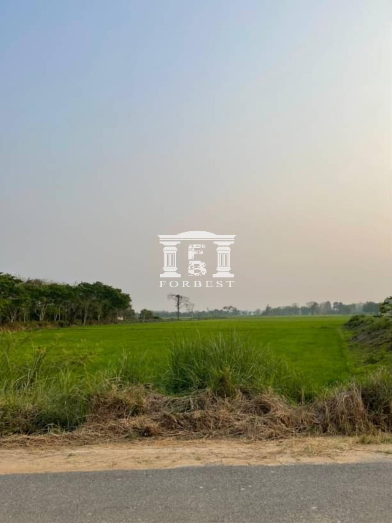 Forbest Properties Agency's 42105 - Chiang Rai Land For Sale 4.29 Acres Near Mae Fah Luang Airport 4
