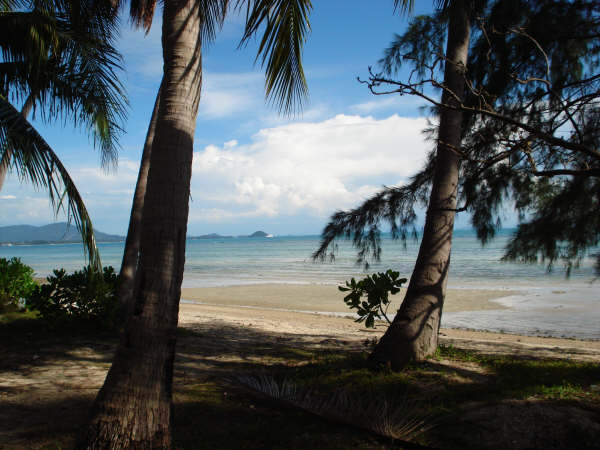 RE/MAX Island Real Estate Agency's 32m beachfront land in Leam Ya 1