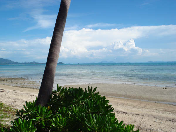 RE/MAX Island Real Estate Agency's 32m beachfront land in Leam Ya 2