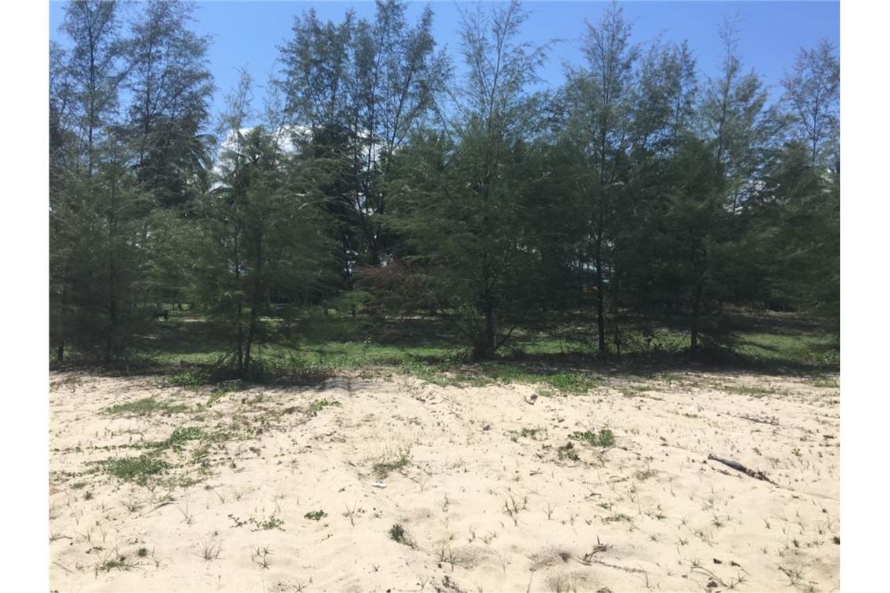 RE/MAX Island Real Estate Agency's Beach land for sale in Tha Sala 4