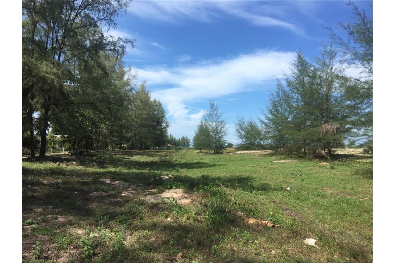RE/MAX Island Real Estate Agency's Beach land for sale in Tha Sala 5