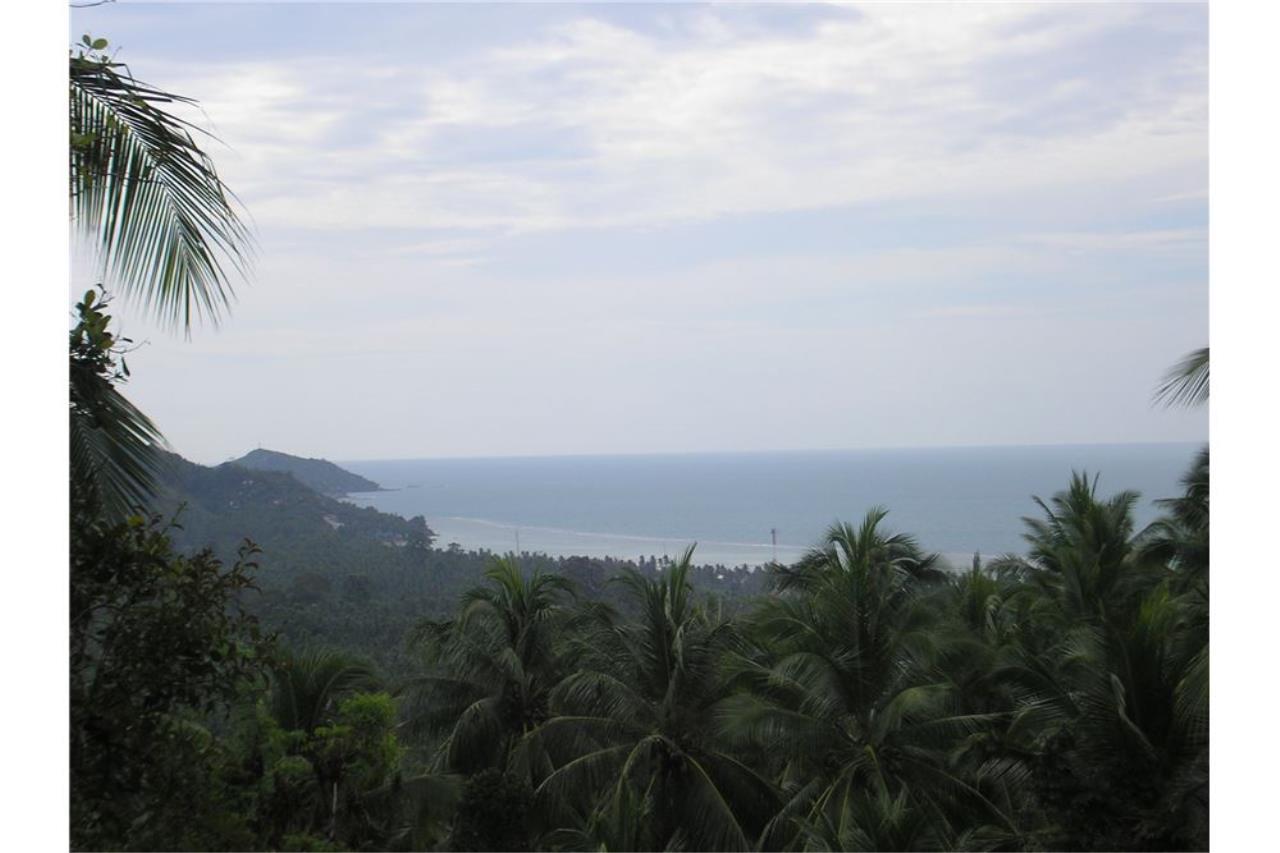 RE/MAX Island Real Estate Agency's Coastline Sea views land for sale in Koh Phangan 3