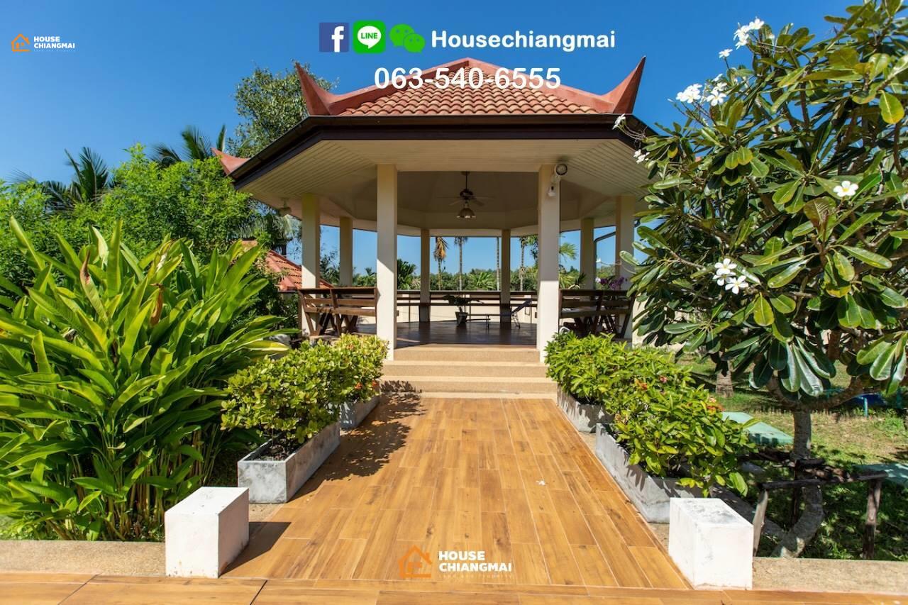 Agent - Orawan Rientchaicharoen Agency's Luxury pool villa for Rent in the location at Amphur Sansai 4