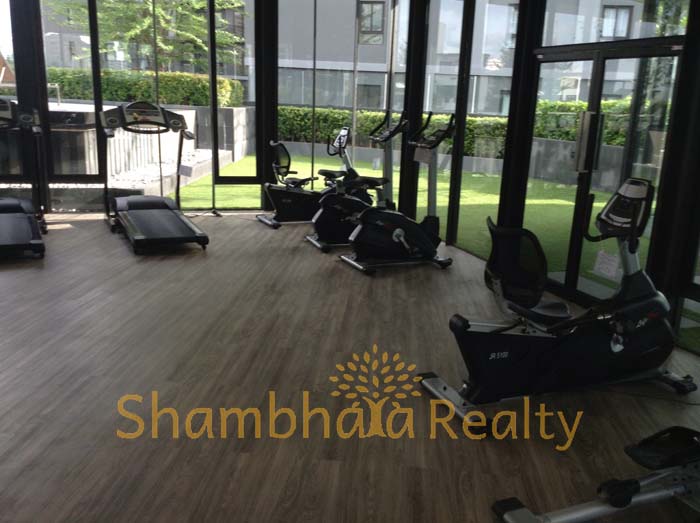 Shambhala Realty Agency's Condo For Rent: The Seed Mingle at Sathorn 8