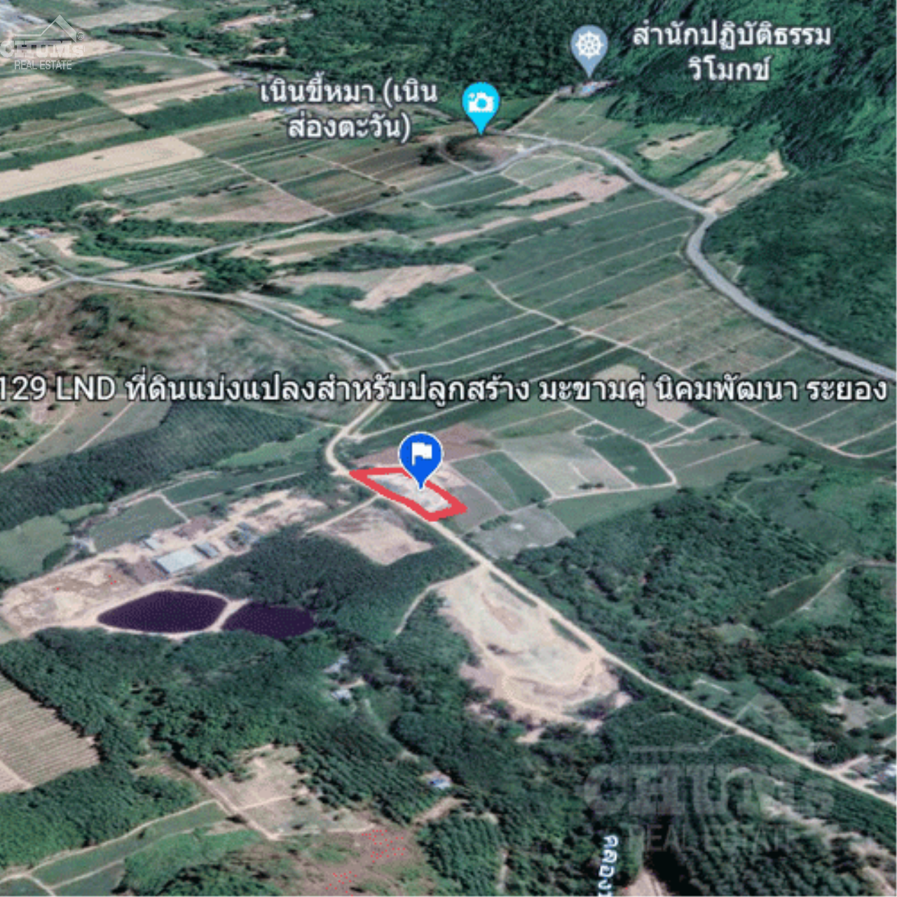 CHUMs Real Estate Agency's Land for building Makham Khu, Nikhom Phatthana, Rayong 2